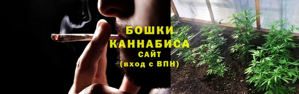крисы Елизово