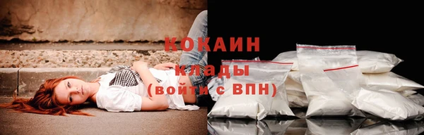 метадон Ельня
