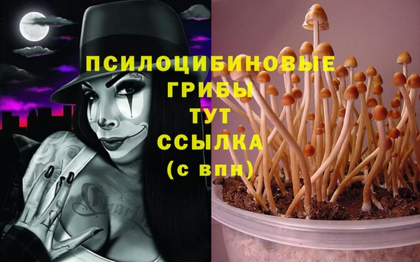 метадон Ельня