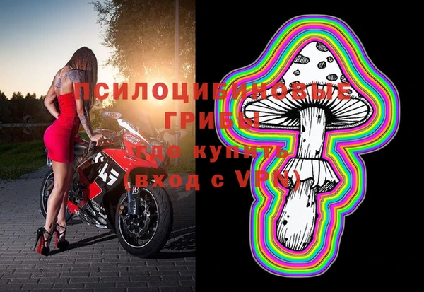 метадон Ельня