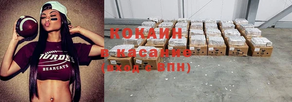 метадон Ельня