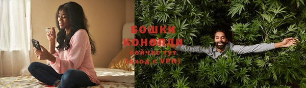 метадон Ельня