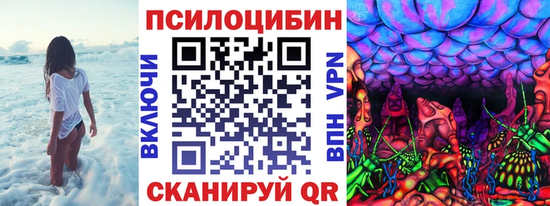 Галлюциногенные грибы мицелий Купить где Киржач